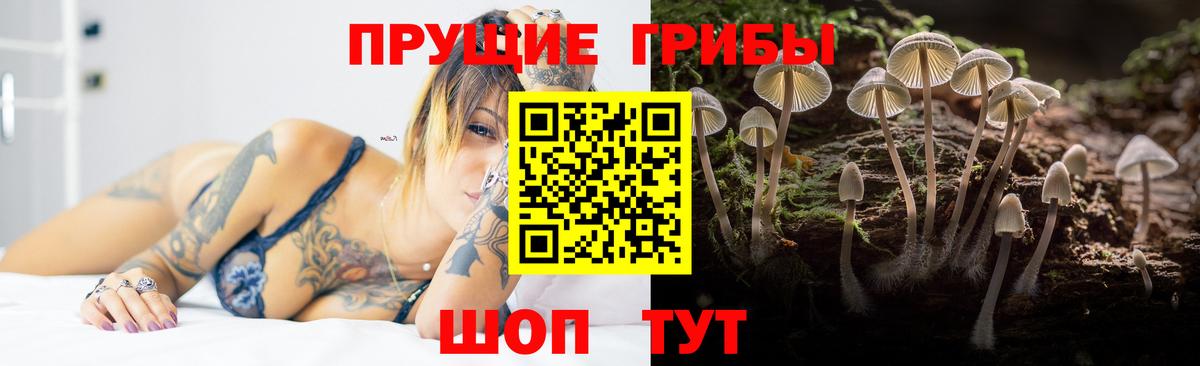 Псилоцибиновые грибы мицелий  что такое   Сорочинск  Псилоцибиновые грибы Psilocybine cubensis  Вход с VPN 