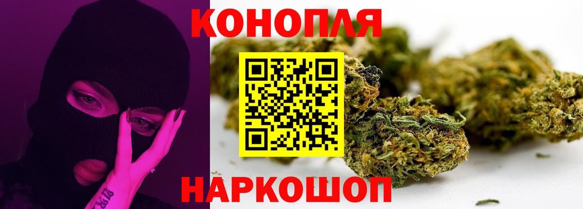 Канабис план  Канабис Ganja  Бошки Шишки сатива  Вход с VPN  Сорочинск 